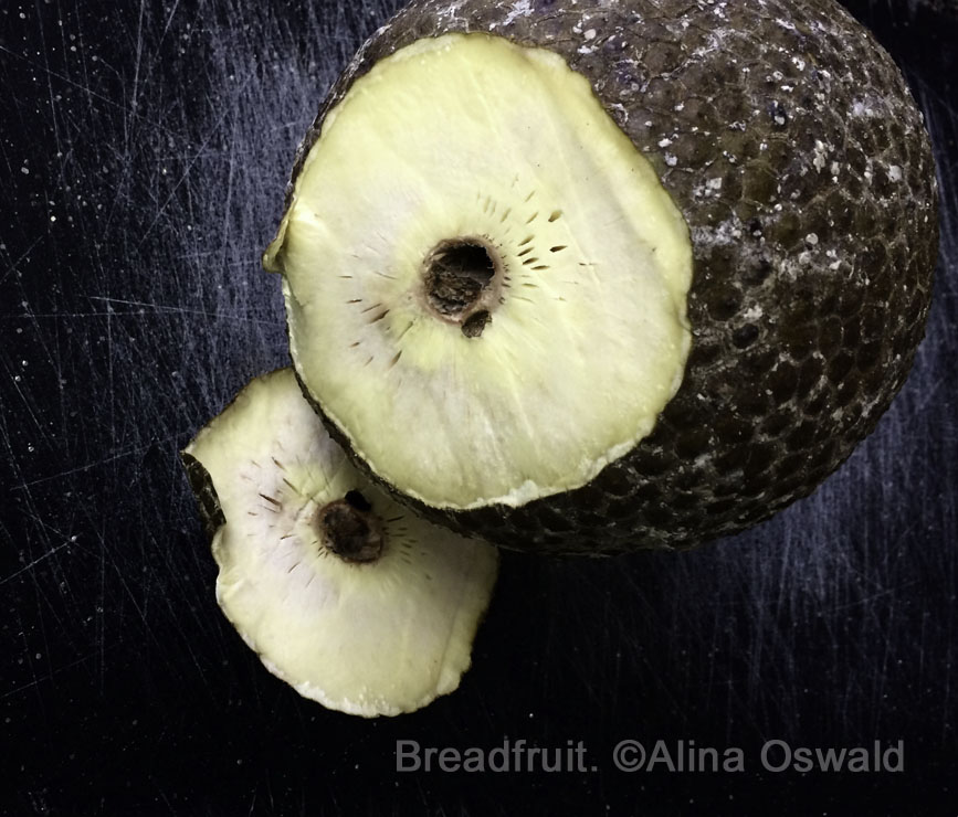 cooking breadfruit